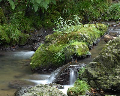 e0035757_0382712.jpg
