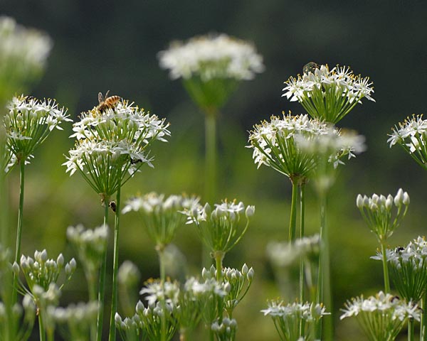 e0035757_038841.jpg