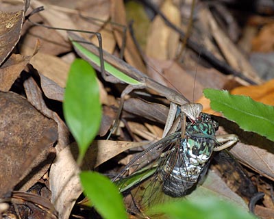 e0035757_0404522.jpg