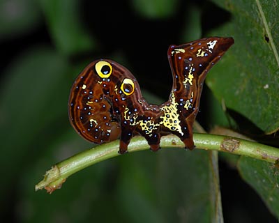 e0035757_0413386.jpg