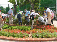 9月の月例会/秋花のための剪定_a0094959_2054564.jpg