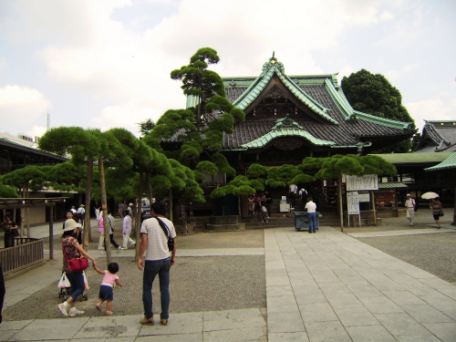 柴又へ吟行、帝釈さまの会館で句会を開いた_c0167560_22315392.jpg