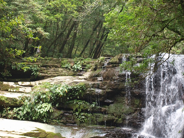 b0135573_17555110.jpg