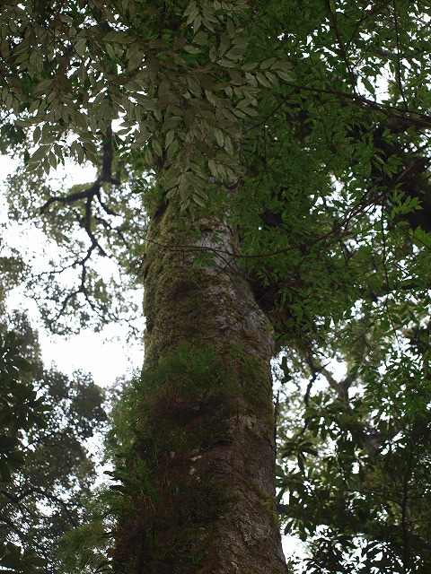 b0135573_17565679.jpg