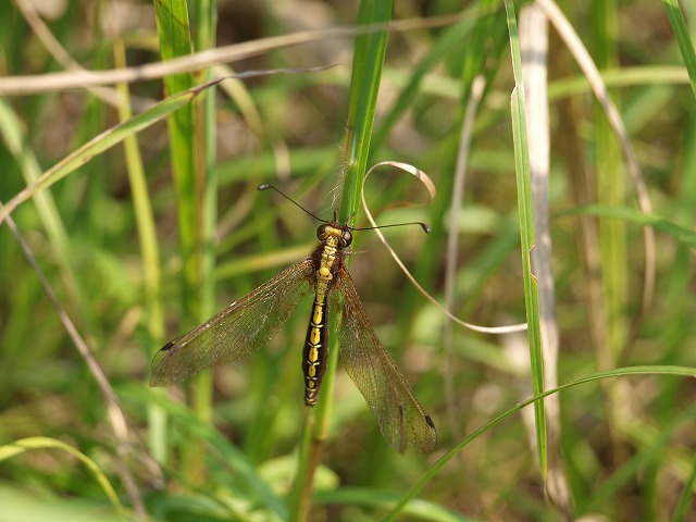 b0135573_1801562.jpg