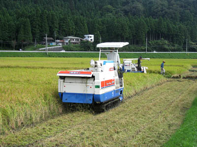 雨の合間の稲刈り作業_f0077877_1664950.jpg