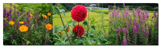 三瀬方面へ=з_d0132289_13445875.jpg