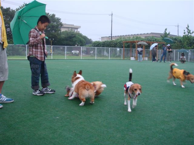 ～夏休みのイベント～_b0122401_29264.jpg