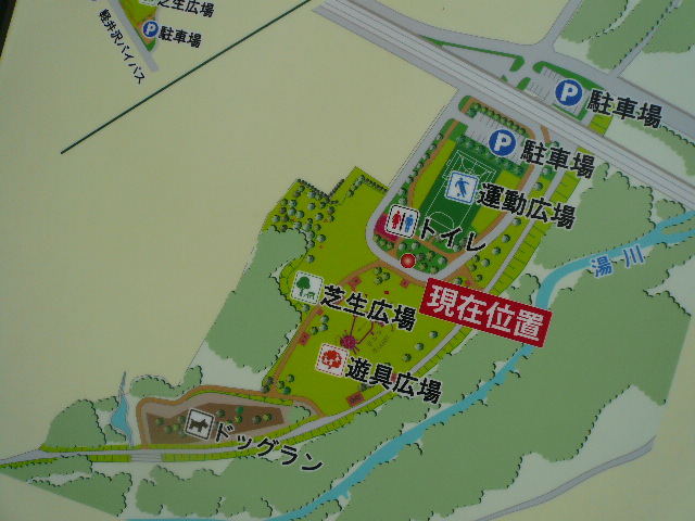 湯川ふるさと公園のドッグラン 犬と旅