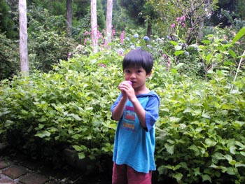 f0006704_10434851.jpg