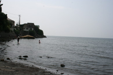 a0007906_11335320.jpg