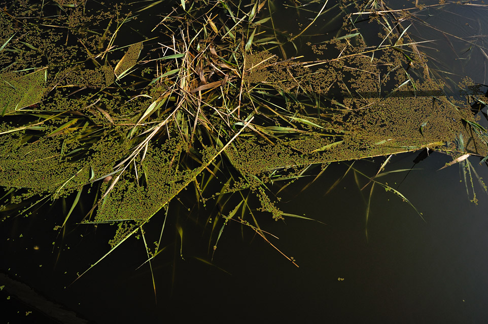 b0148016_22371732.jpg