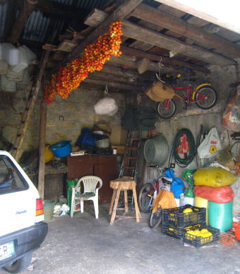 f0101126_04726.jpg