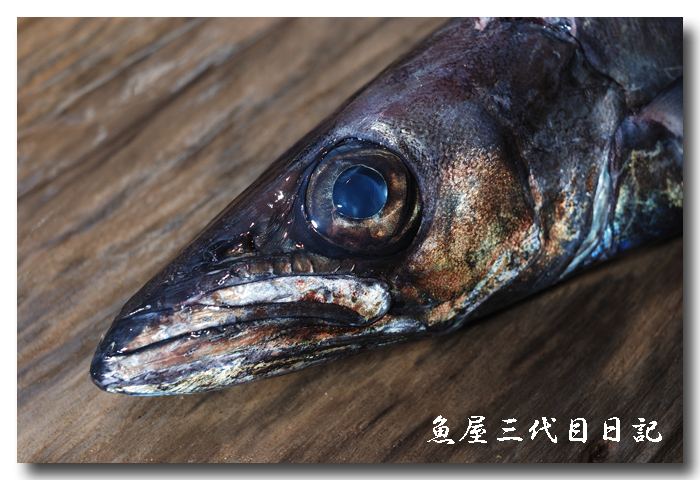 黒鴟尾梭子魚 クロシビカマス スミヤキ と呼んでます 魚屋三代目日記