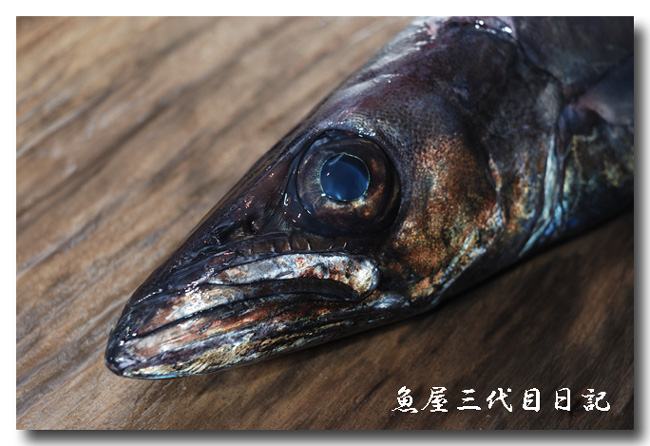 黒鴟尾梭子魚 クロシビカマス スミヤキ と呼んでます 魚屋三代目日記