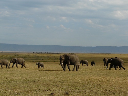 c0175145_2213570.jpg