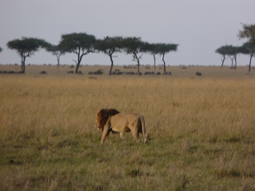 c0175145_2214675.jpg
