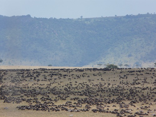 c0175145_2215028.jpg