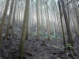 b0148050_2202087.jpg