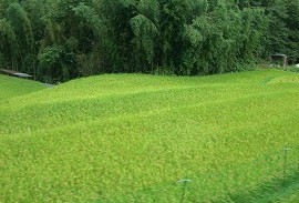 b0148050_2214858.jpg
