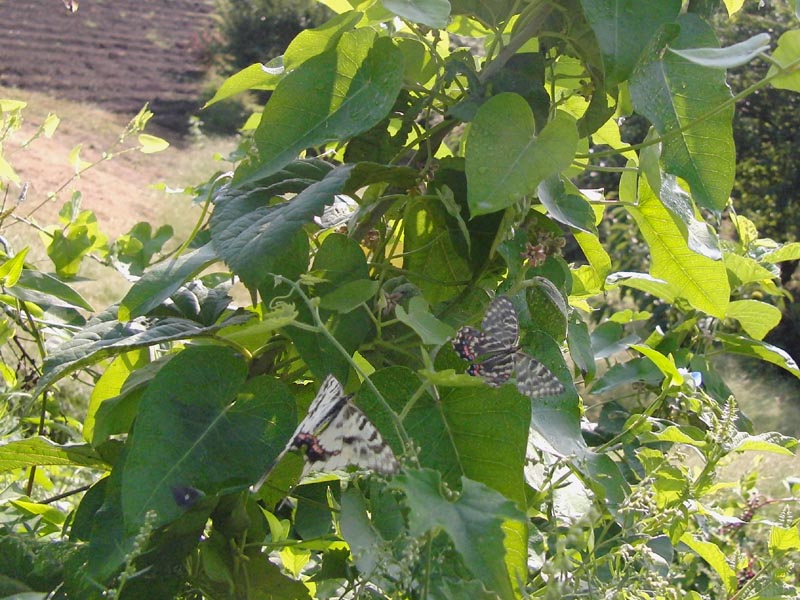 c0045352_233711100.jpg