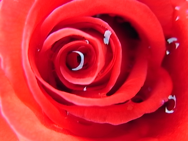 f0021654_032497.jpg