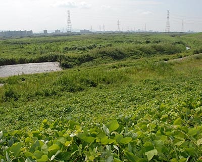 e0035757_17214379.jpg