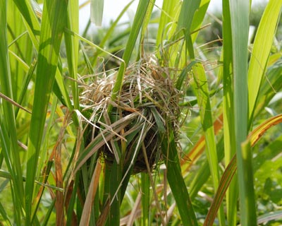 e0035757_1723499.jpg