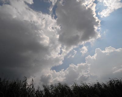 e0035757_17245357.jpg