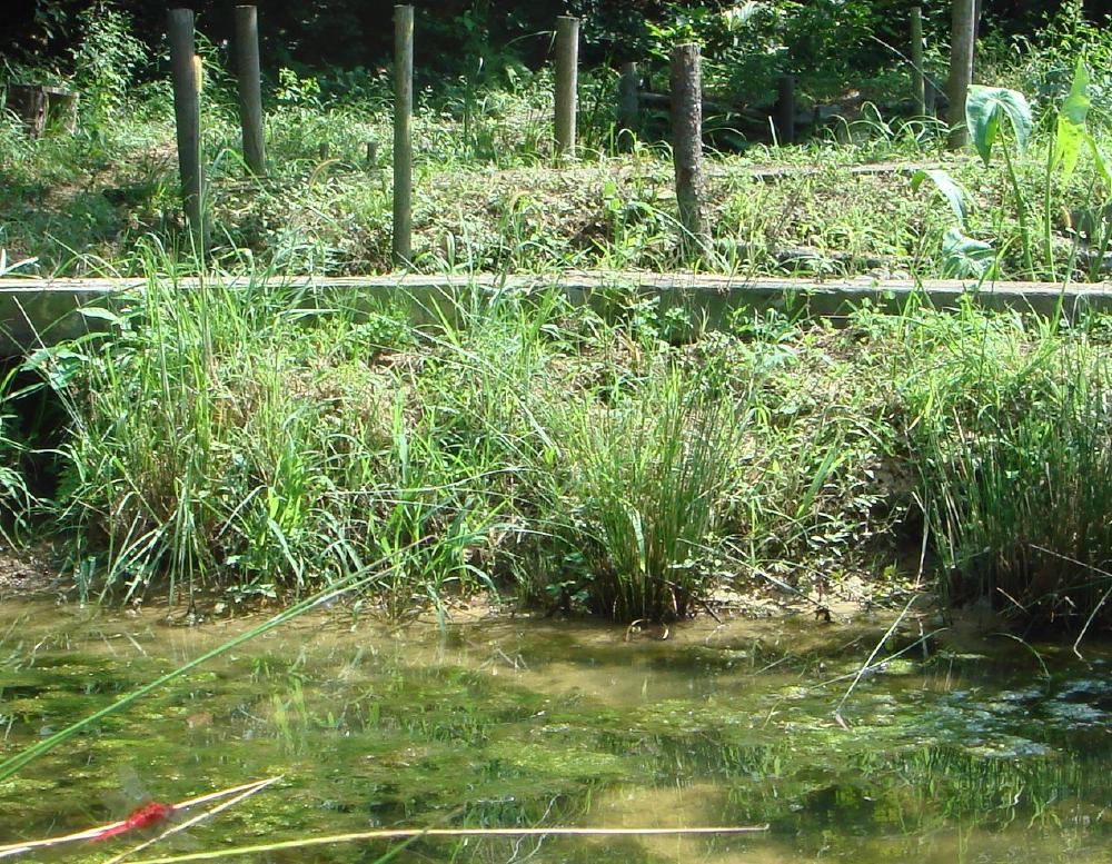 c0108460_15203892.jpg