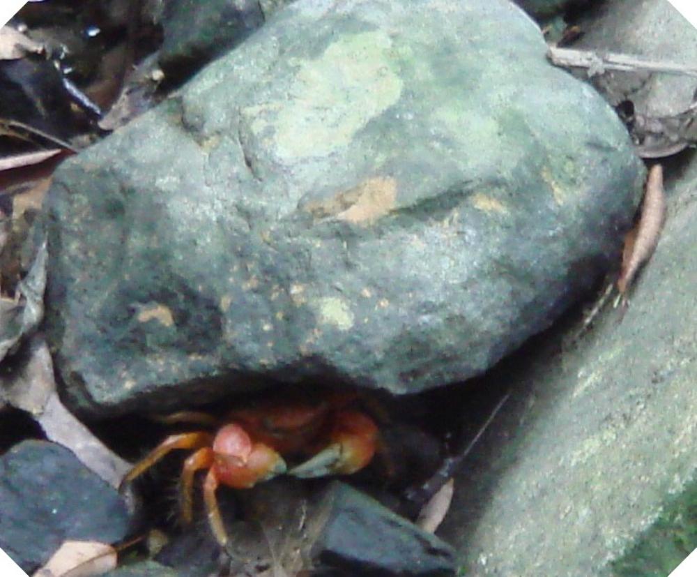 c0108460_15214021.jpg