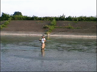 f0084561_17255215.gif