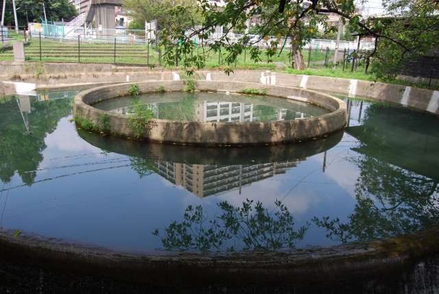 e0078069_2041226.jpg