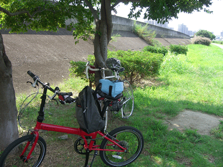 c0095679_9505278.gif