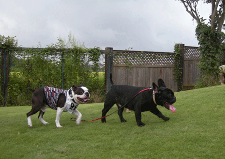 e0066883_2029858.gif