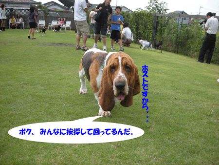 e0066883_21324128.gif