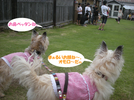 e0066883_21345030.gif