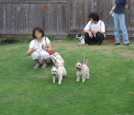 e0066883_21394521.gif