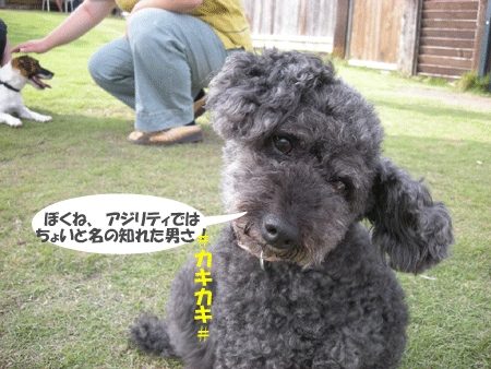 e0066883_21515124.gif