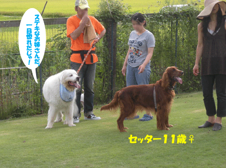 e0066883_21592595.gif