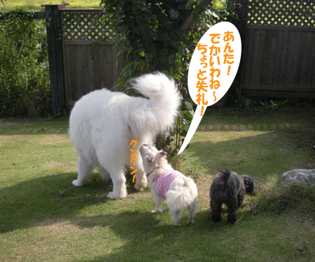 e0066883_2201327.gif