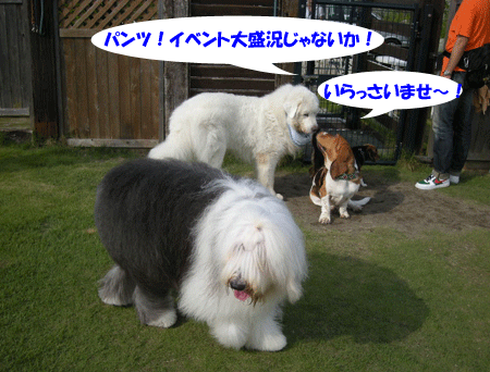 e0066883_221273.gif