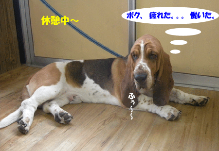 e0066883_22235951.gif