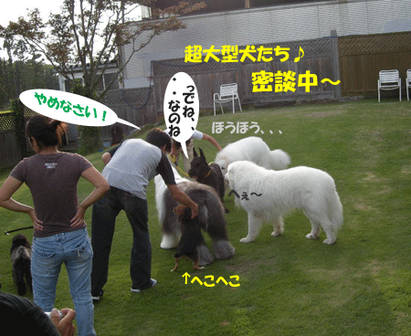 e0066883_224013.gif