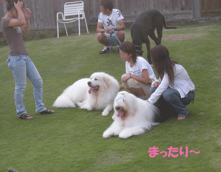 e0066883_2241877.gif
