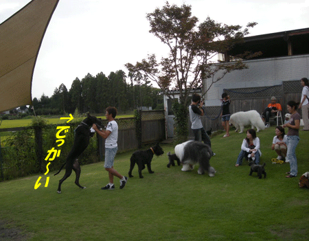 e0066883_2292316.gif