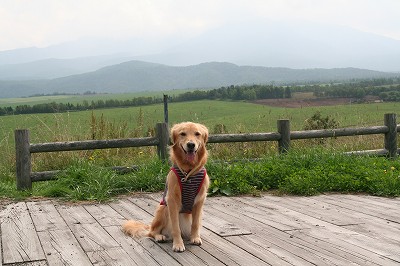 c0172184_20514265.jpg