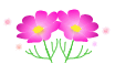 e0026586_9424276.gif