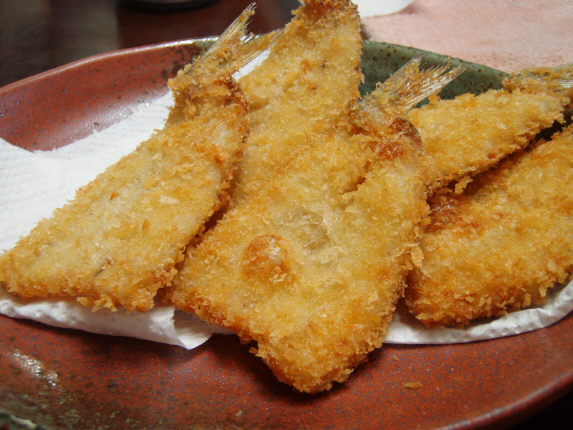 秋カマスを食う 海のフライフィッシング カマス屋日記