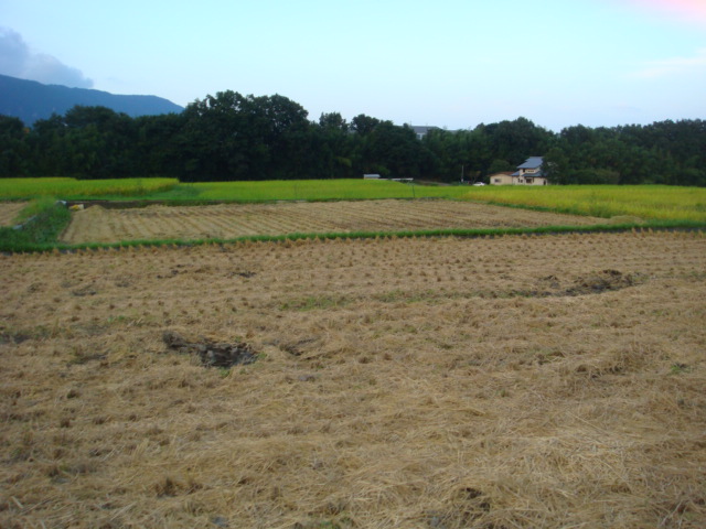 c0165498_8561027.jpg